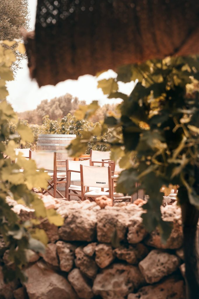 View through grapevines to outdoor seating at Bodegas Binifadet winery in Sant LLuis, Menorca, with wooden chairs and a wine barrel set among the vineyard. Photographed by Lou Carruthers, hospitality and travel photographer in Menorca.