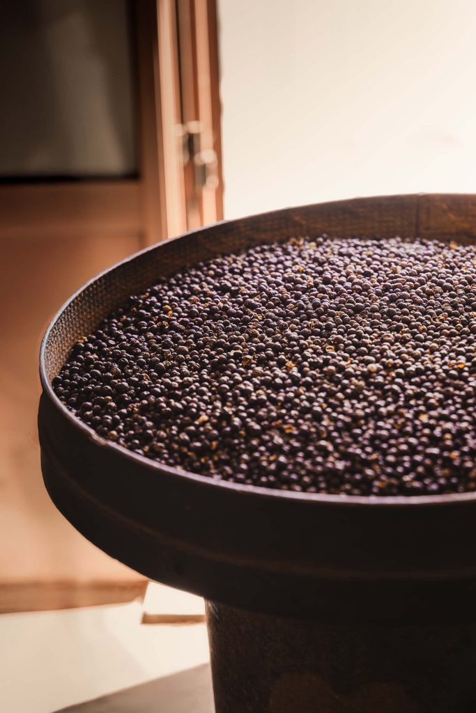 A wide bucket filled with wild juniper berries, the essential ingredient of Xoriguer gin, bathed in soft window light. Photographed by Lou Carruthers, food and hospitality photographer.