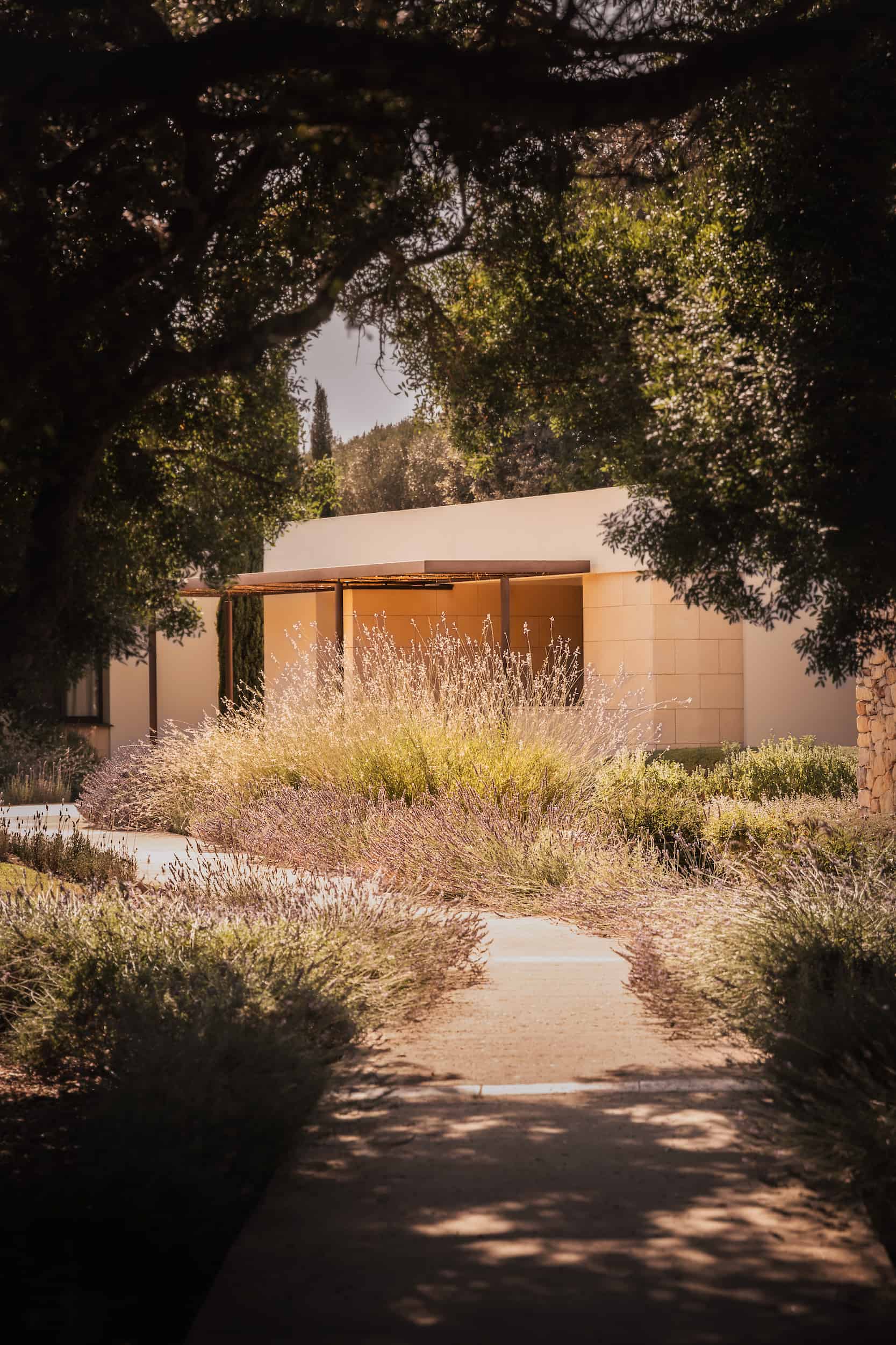 Agroturismo boutique hotel olive garden room at Malbuger Nou in Menorca, framed by lavender and Mediterranean planting in golden light. Photographed by Lou Carruthers, hospitality and agroturismo photographer in Menorca.