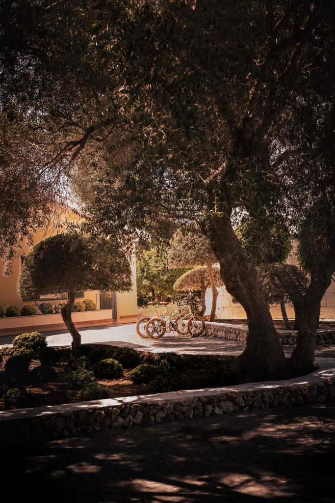 Bicycles available for guests at Malbuger Nou agroturismo boutique hotel in Menorca, parked in dappled shade beneath olive trees on a sunny Mediterranean afternoon. Photographed by Lou Carruthers, hospitality and agroturismo photographer in Menorca.