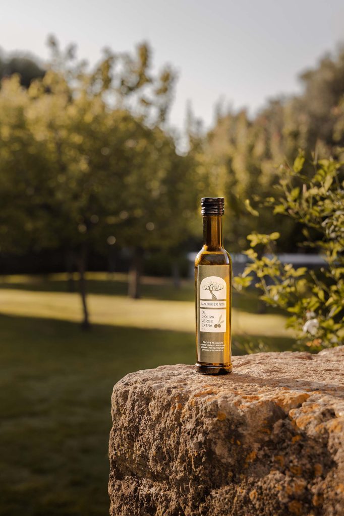 A bottle of Malbuger Nou extra virgin olive oil resting on a sunlit stone wall, with the estate's olive grove softly blurred in the warm morning light behind it.