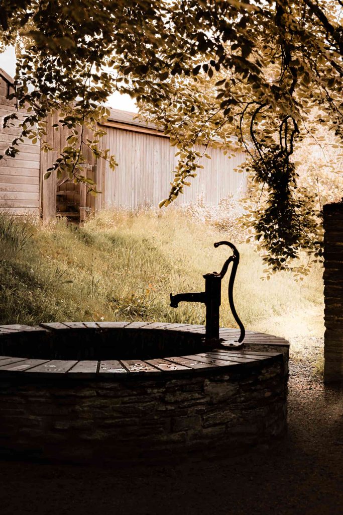 Cornwall - The Lost Gardens of Heligan - Lou Carruthers Photography - Cotswold Food Photographer
