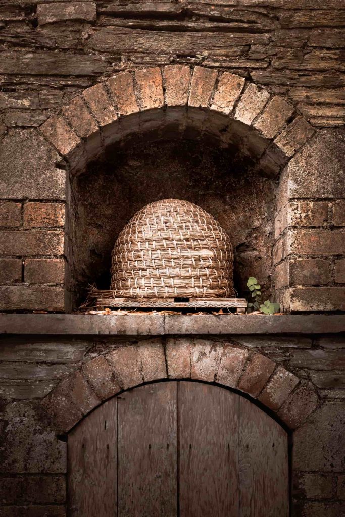 Cornwall - The Lost Gardens of Heligan - Lou Carruthers Photography - Cotswold Food Photographer