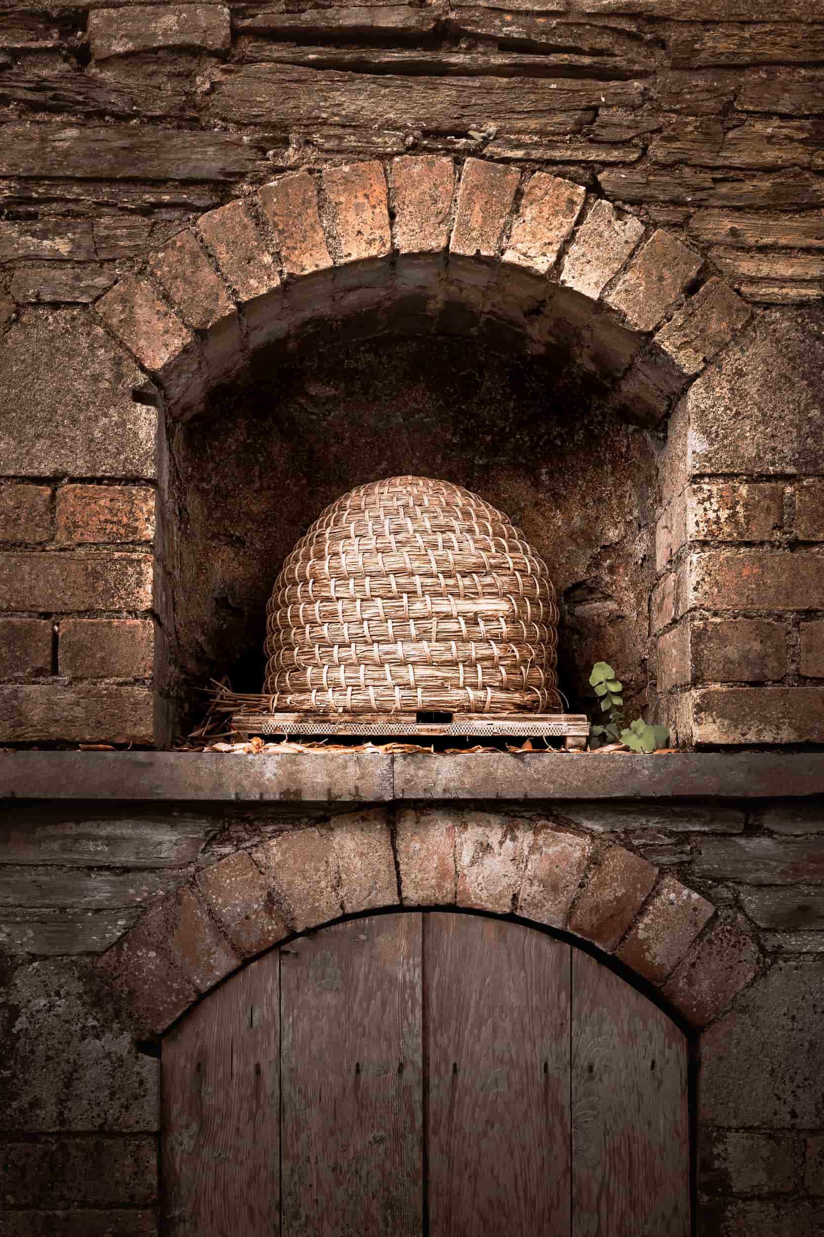 Cornwall - The Lost Gardens of Heligan - Lou Carruthers Photography - Cotswold Food Photographer