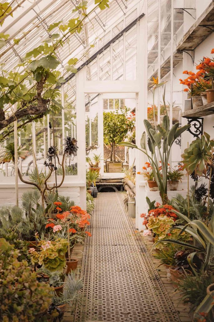Cornwall - The Lost Gardens of Heligan - Lou Carruthers Photography - Cotswold Food Photographer