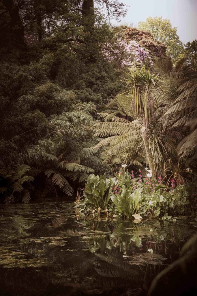 Cornwall - The Lost Gardens of Heligan - Lou Carruthers Photography - Cotswold Food Photographer