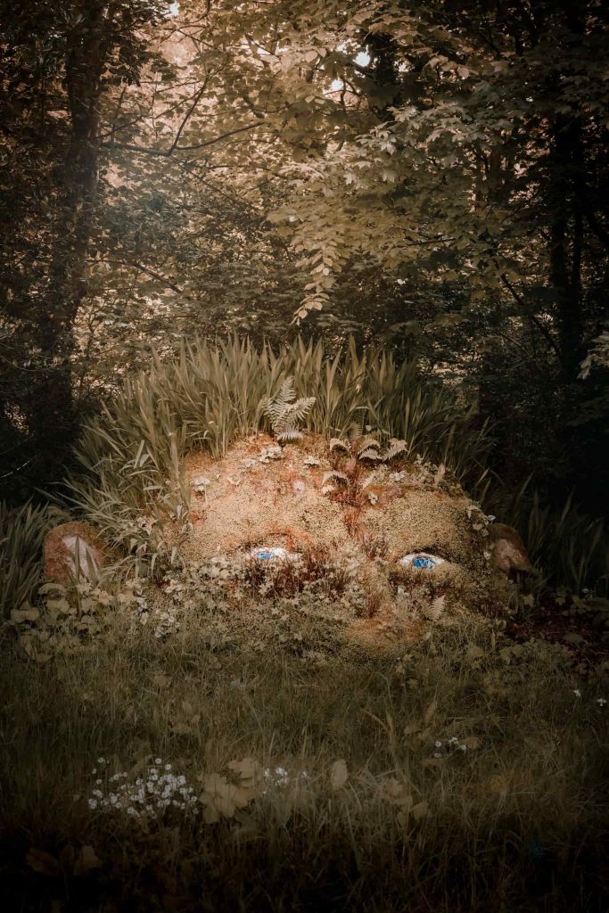 Cornwall - The Lost Gardens of Heligan - Lou Carruthers Photography - Cotswold Food Photographer