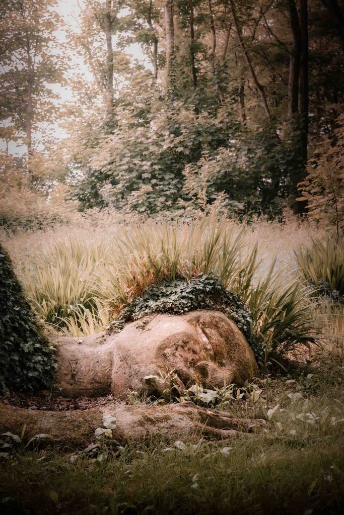 Cornwall - The Lost Gardens of Heligan - Lou Carruthers Photography - Cotswold Food Photographer